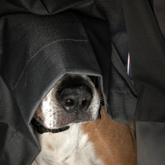 Lori & Roadie say hi! - Picture 11 of 15